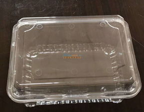 佛山吸塑包裝廠 東莞區(qū)域知名的吸塑包裝企業(yè)及其文化內(nèi)涵